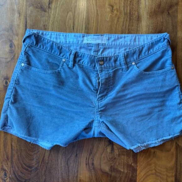 Carve Designs Corduroy Shorts W 10 - Picture 1 of 3